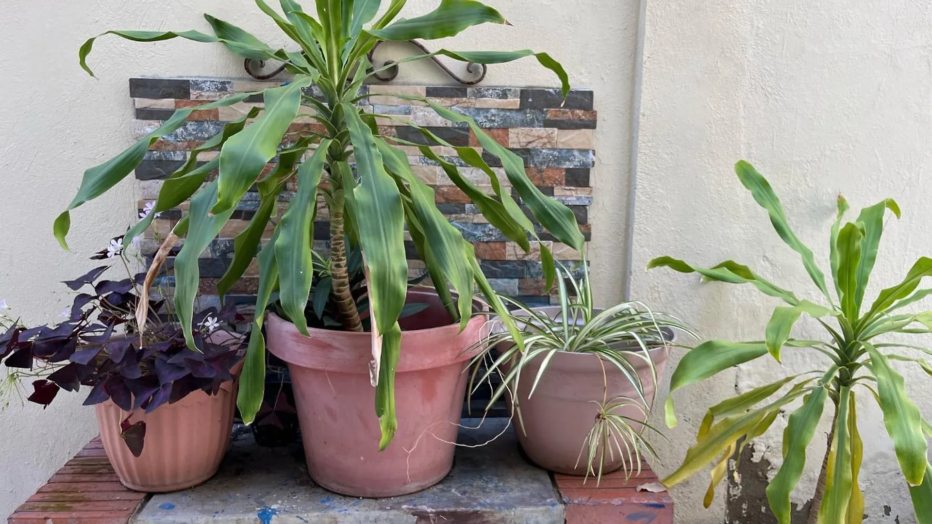 Private House With Pool, Ac, Bbq, Fast Wi-Fi, Pet & Family Friendly, Near Colonial Zone, Mirador Sur Park & Ocean, In Santo Domingo Villa Dominikai Köztársaság